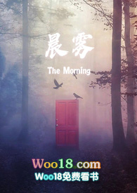 晨雾中的东欧平原视频